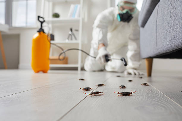 Post-Treatment Bed Bug Interceptor Monitoring in Byrdstown