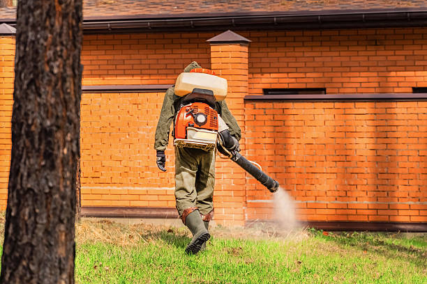 Bed Bug Clearance Verification and Documentation in Byrdstown